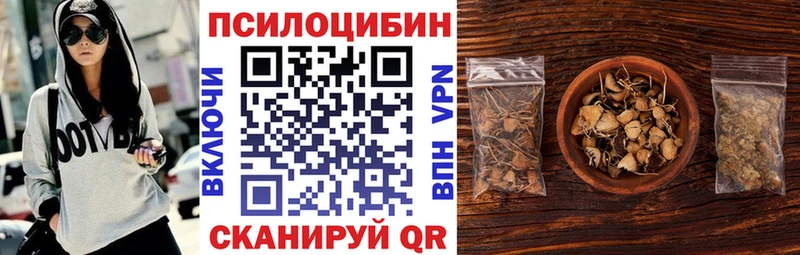 Галлюциногенные грибы Psilocybine cubensis  Жуковка 