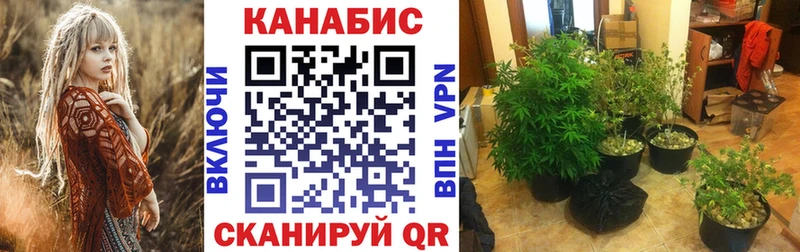 Шишки марихуана VHQ  Жуковка 